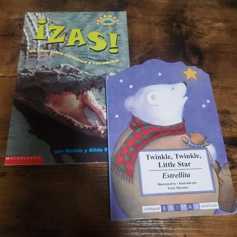 Various Bi-lingual/Spanish Children's Books 