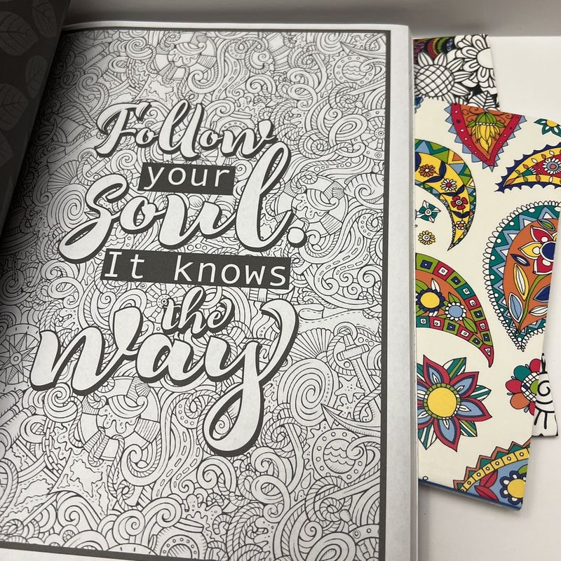 Adult Coloring (3 Book) Lot: Paisley Design, Dragonflies, & Be Fearless in the Pursuit of What Sets Your Soul on Fire