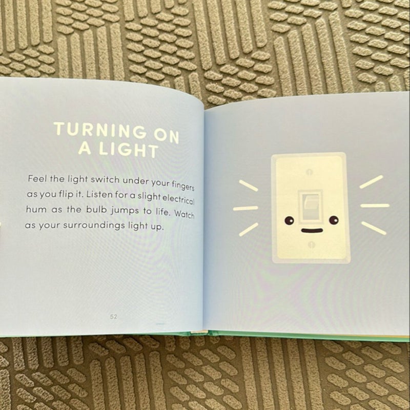 The Illustrated Book of Mindful Meditations for Mindless Moments