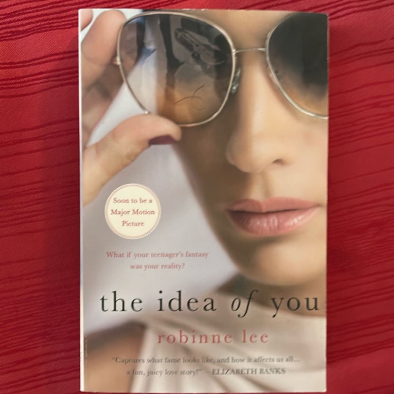 The Idea of You