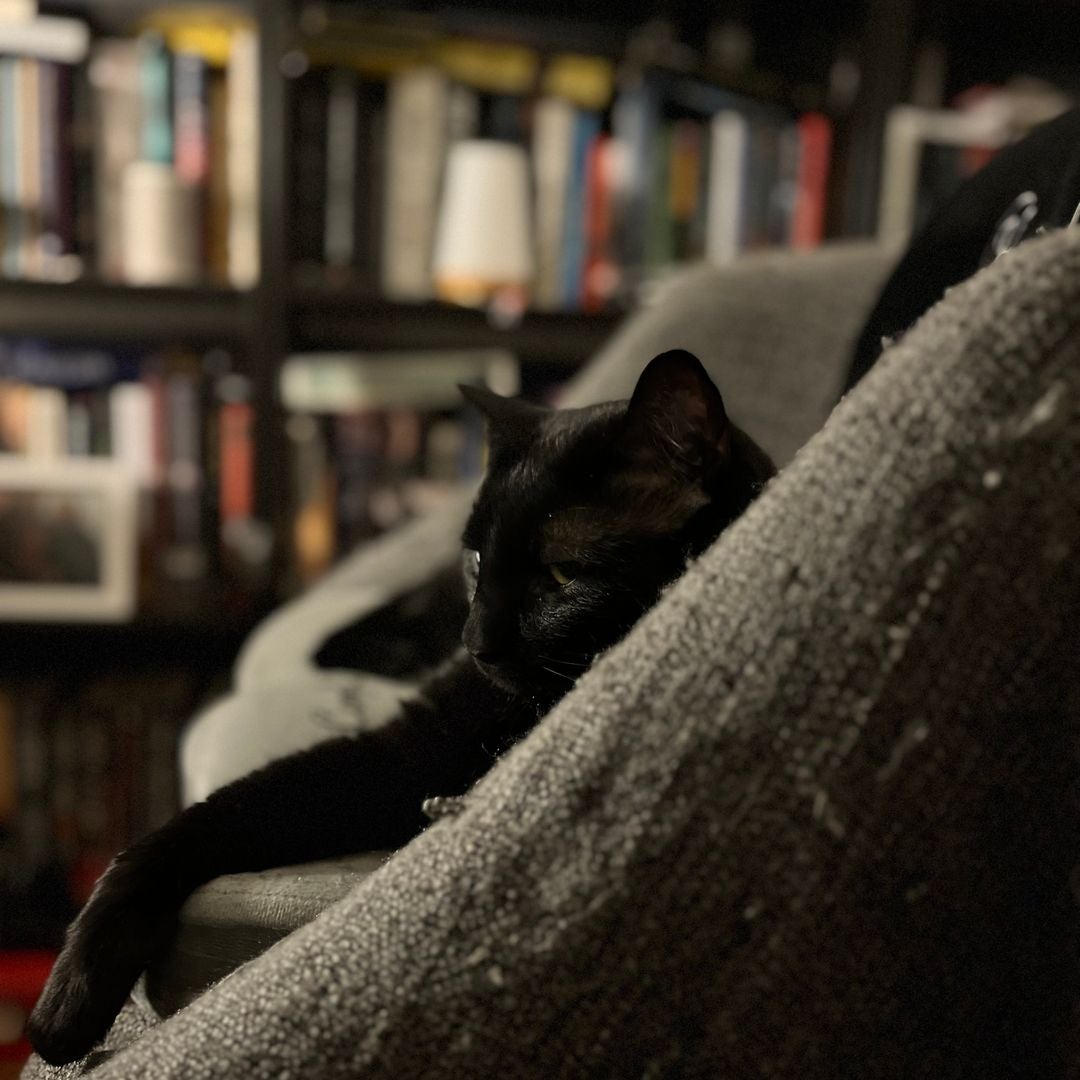 Merlin’s Lair