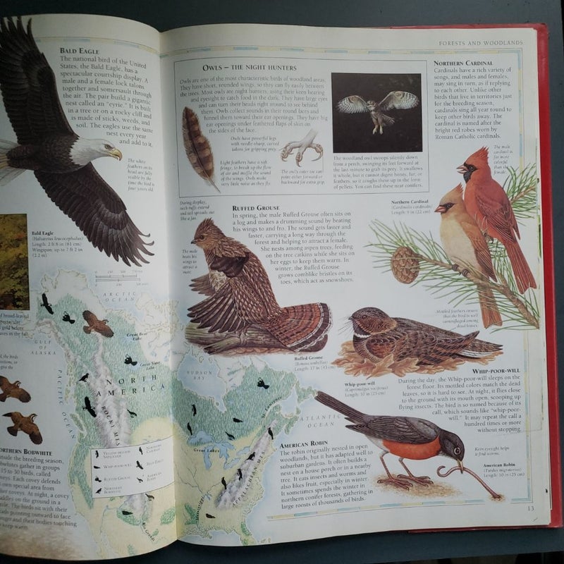 The Bird Atlas