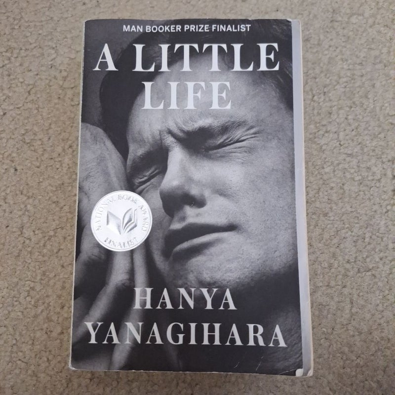 A Little Life