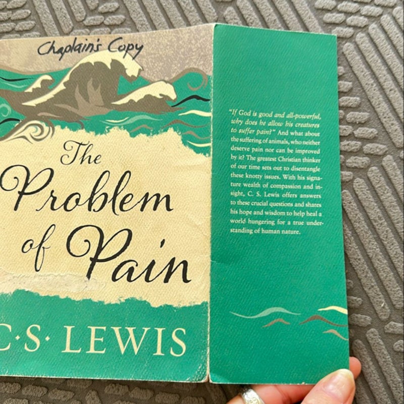 The Problem of Pain