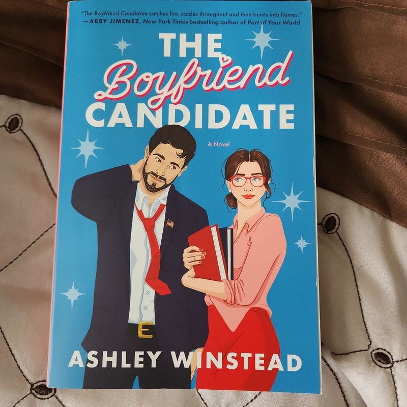 The Boyfriend Candidate