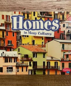 Homes in Many Cultures