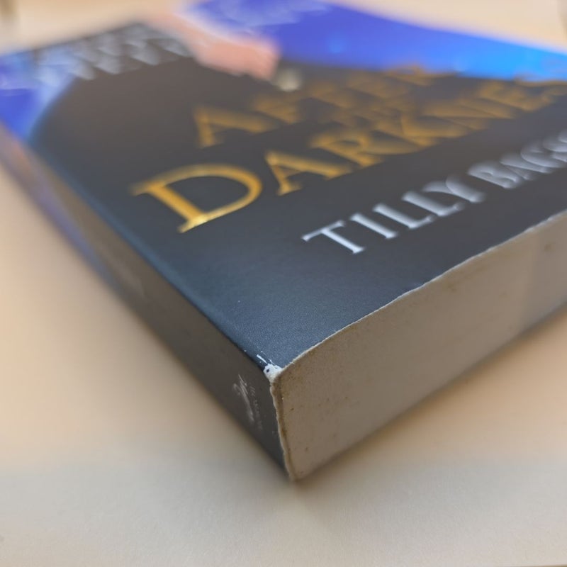 Sidney Sheldon's after the Darkness