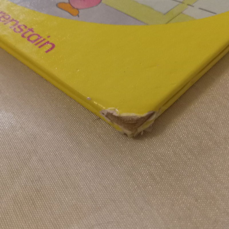 The Berenstain Bears Get the Screamies