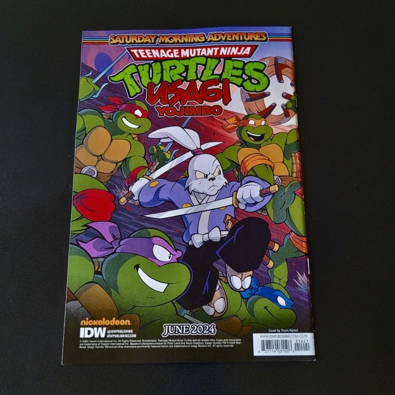 Teenage Mutant Ninja Turtles: Saturday Morning Adventures II #14