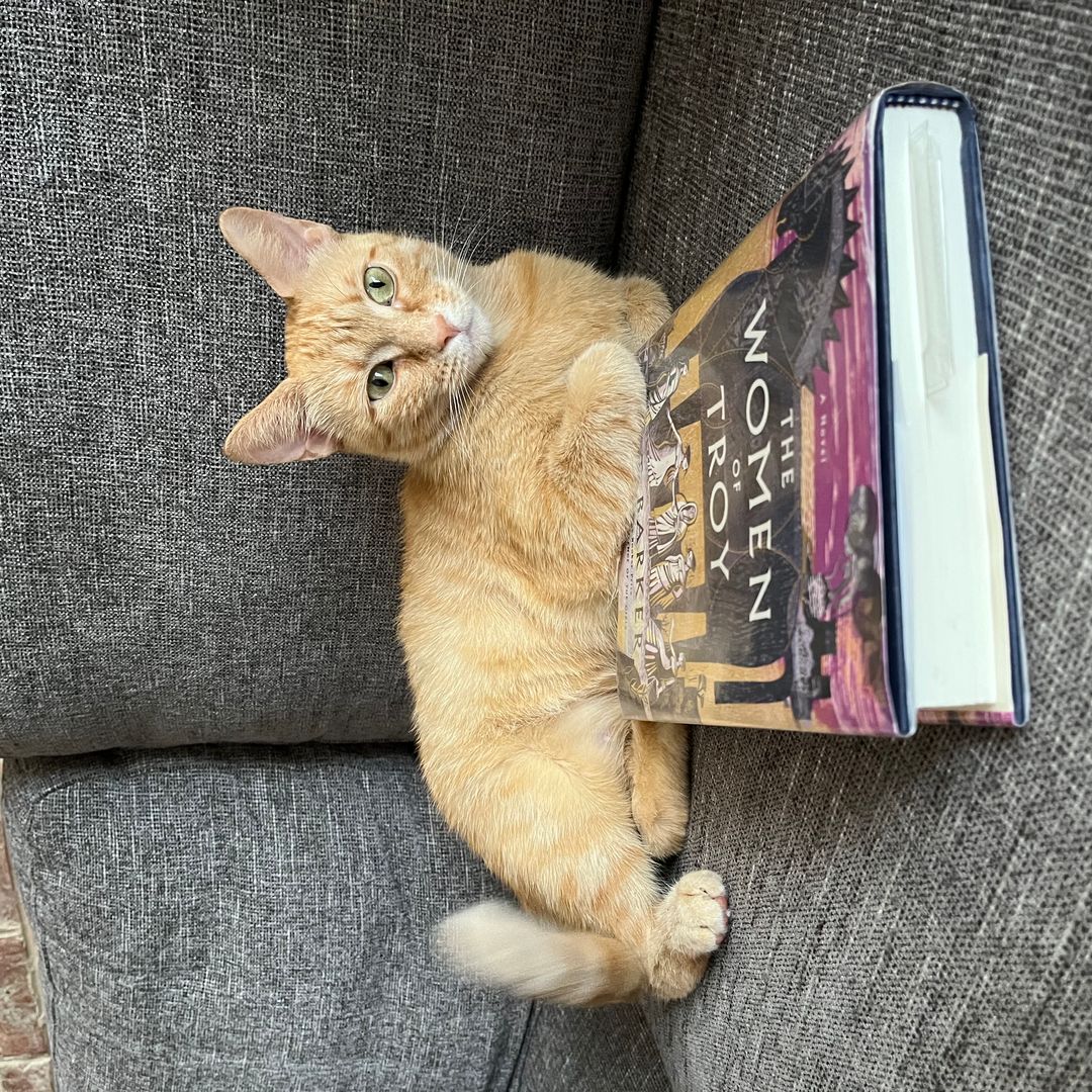 sophia reads everything