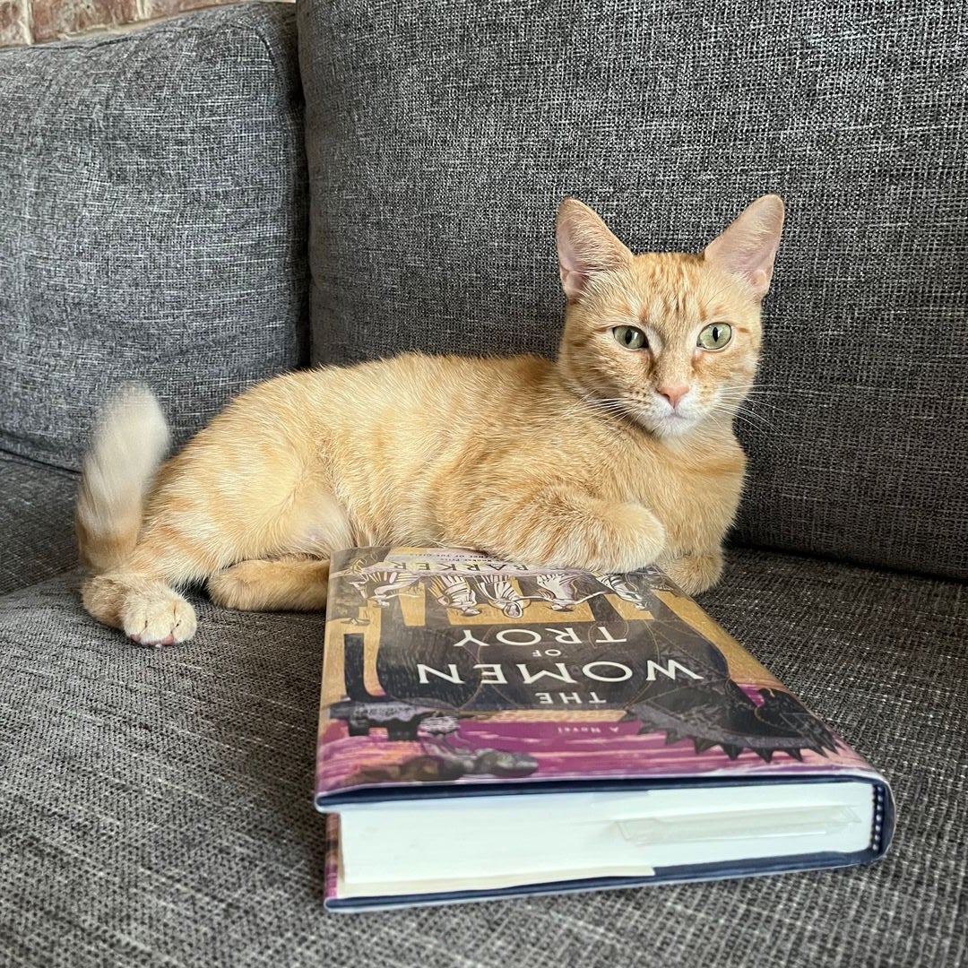 sophia reads everything