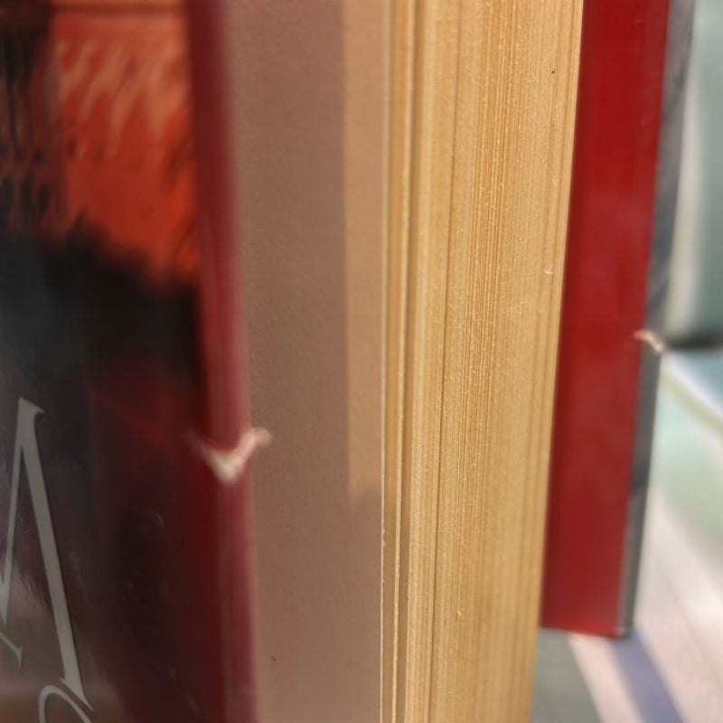 Vince Flynn Collection