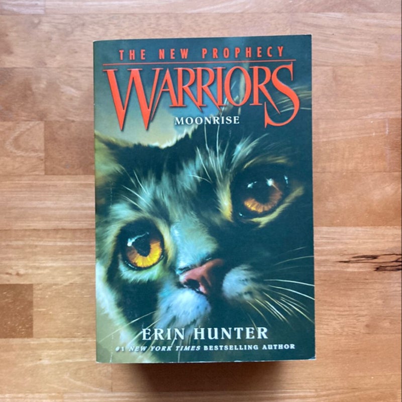 Warriors- 5 book bundle 