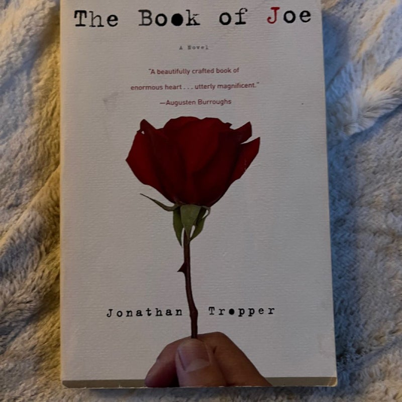 The Book of Joe