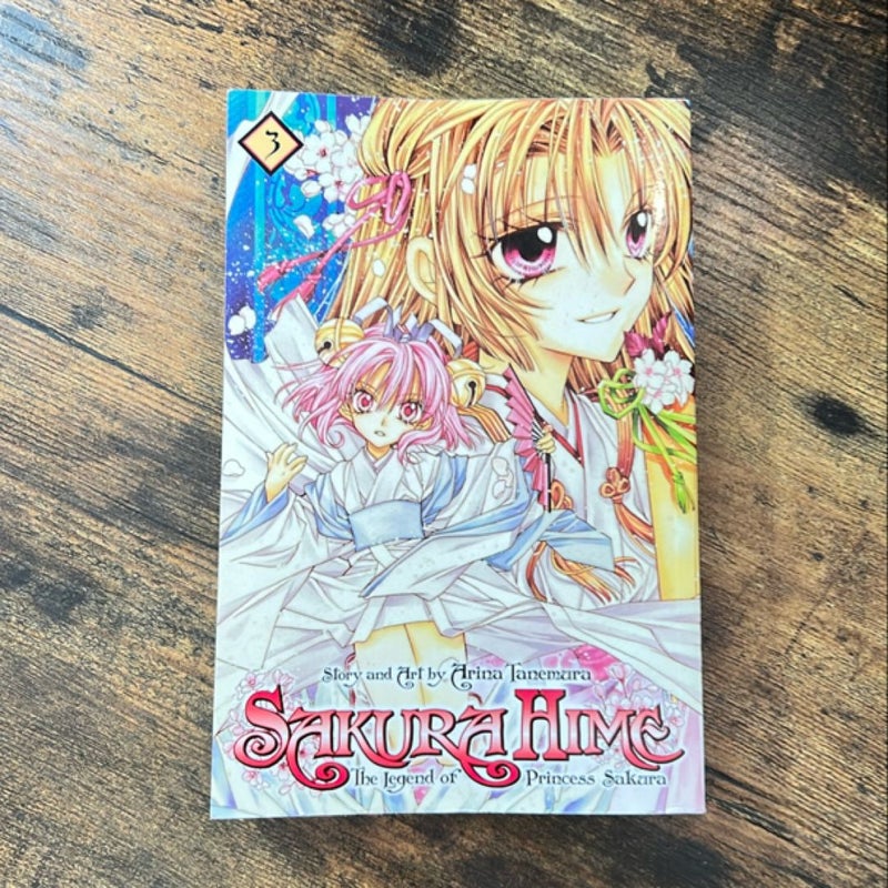 Sakura Hime: the Legend of Princess Sakura, Vol. 3