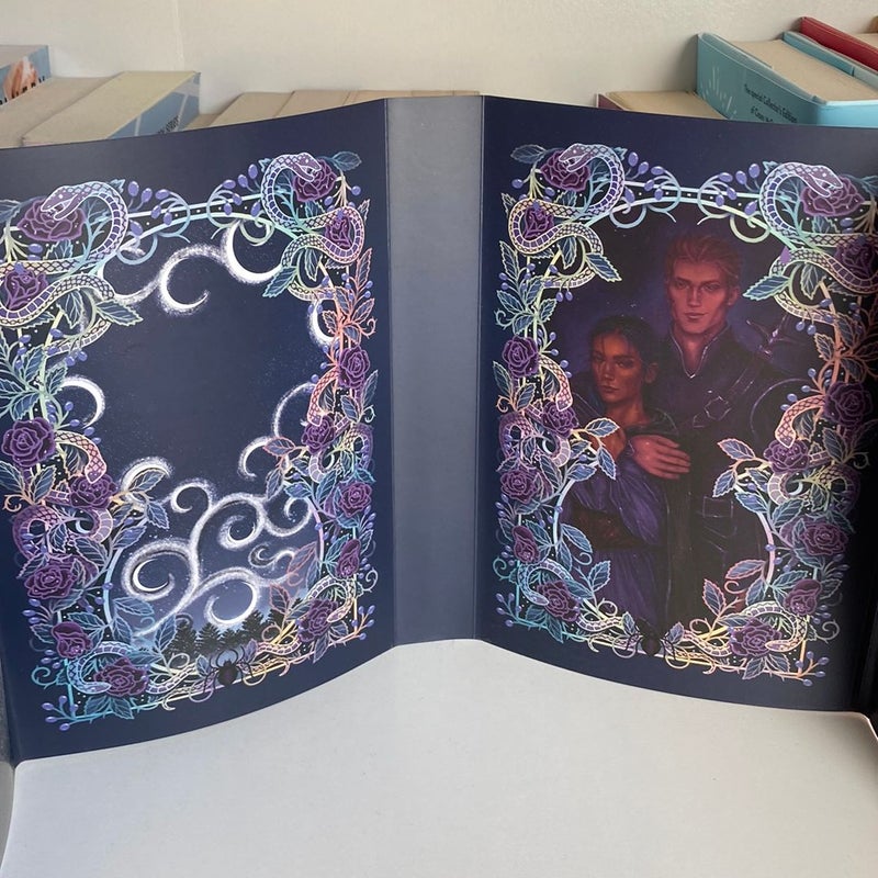 What Lies Beyond the Veil *DUST JACKET ONLY* by Harper L. Woods ...