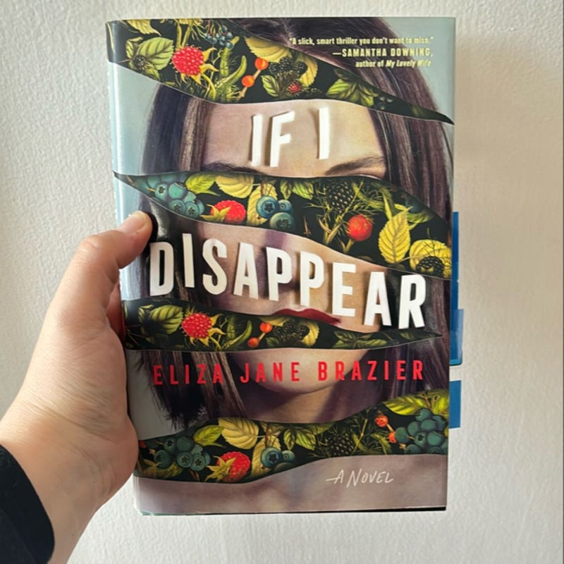 If I Disappear