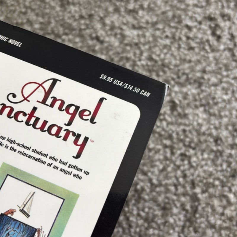 Angel Sanctuary, Vol. 4