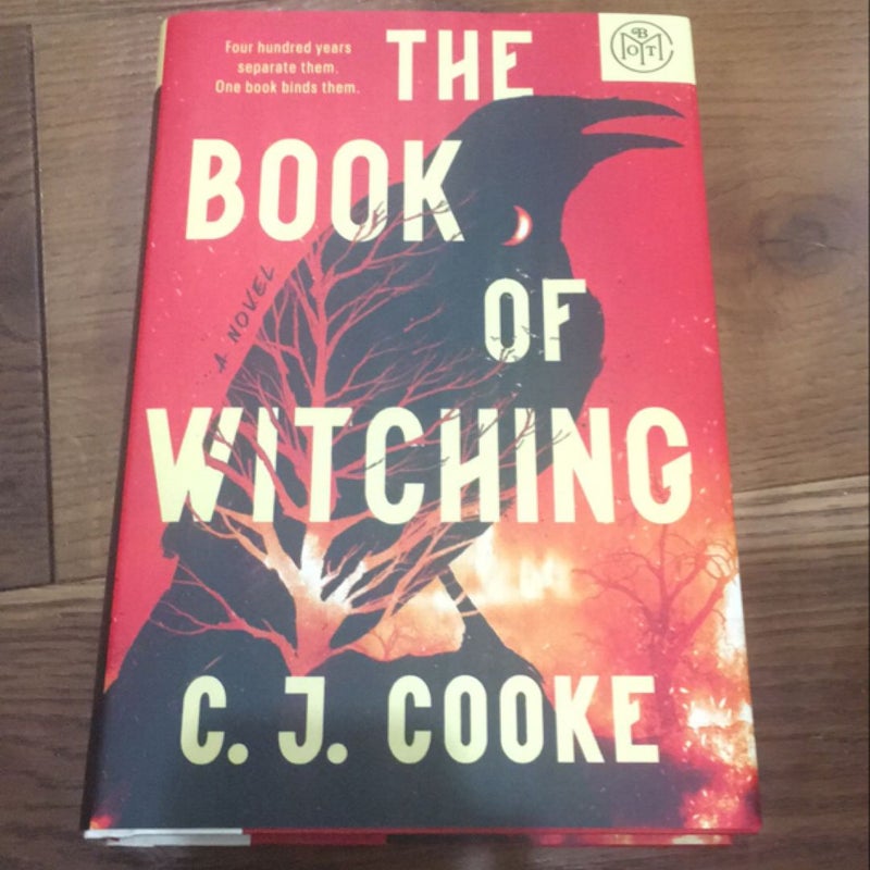 The Book Of The Witching 