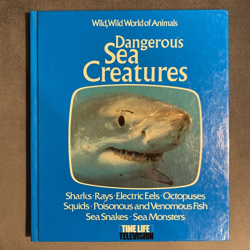 Dangerous Sea Creatures 