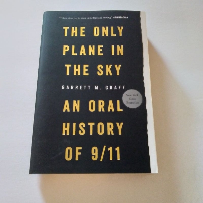 Only Plane in the Sky