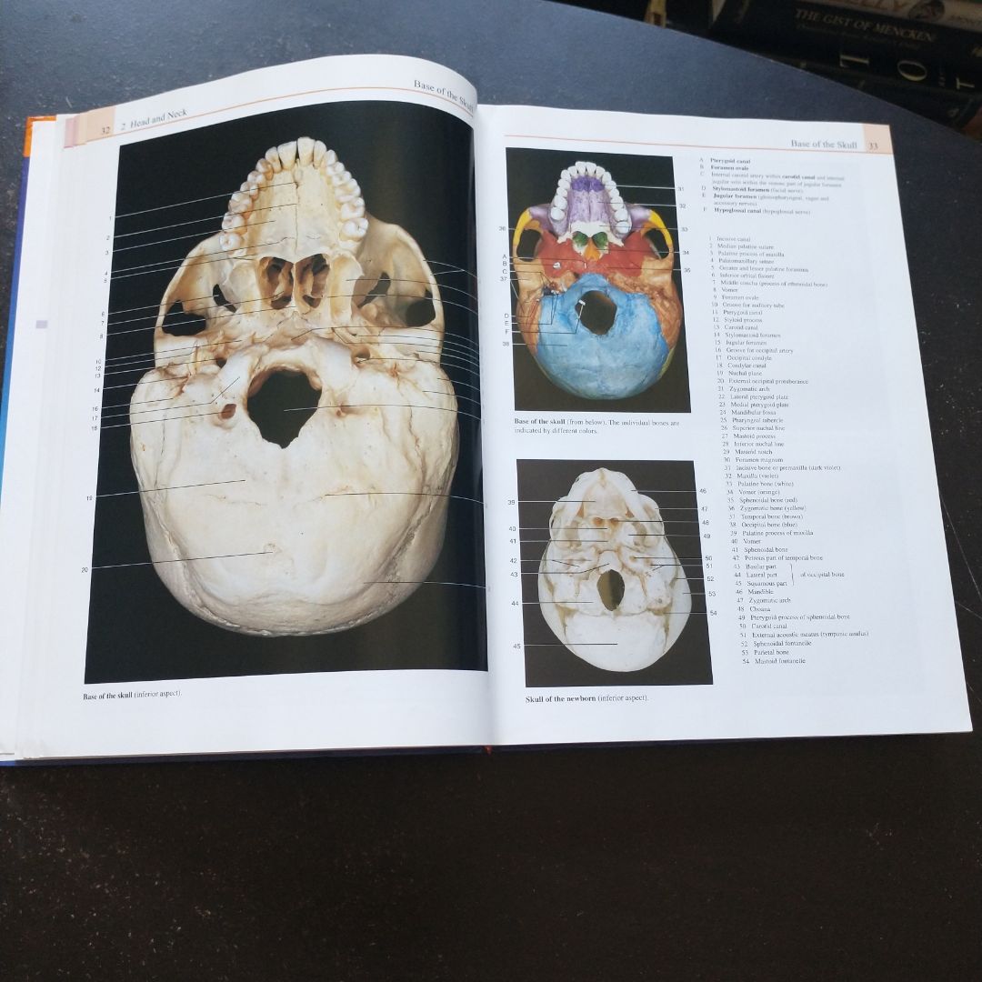 Color Atlas of Anatomy by Johannes W. Rohen; Chihiro Yokochi; Elke