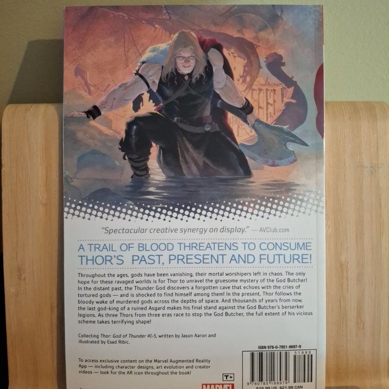 Thor: God of Thunder Volume 1