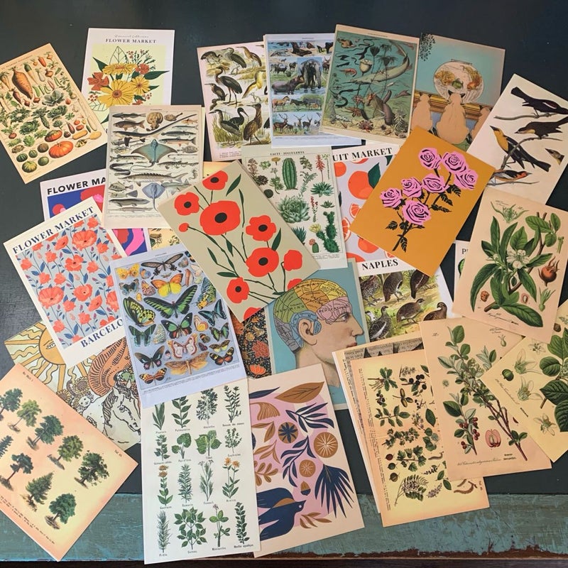 Retro Botanical and Animal Kingdom Print Wall Collage Art Kit - New!