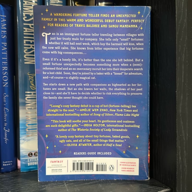 The Teller of Small Fortunes