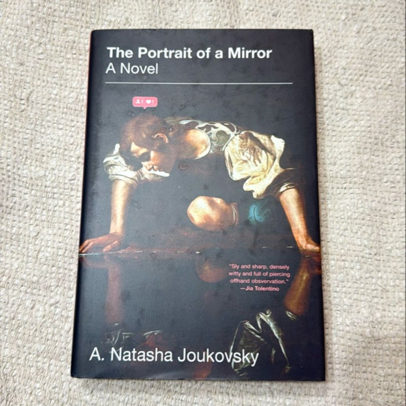 The Portrait of a Mirror