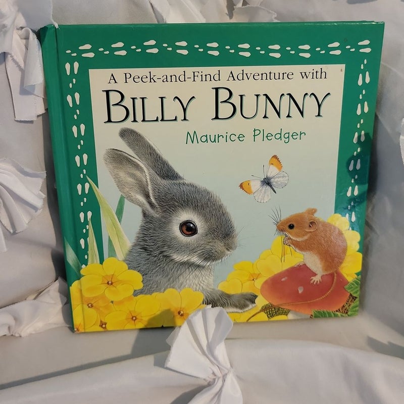 A Peek and Find Adventure with Billy Bunny