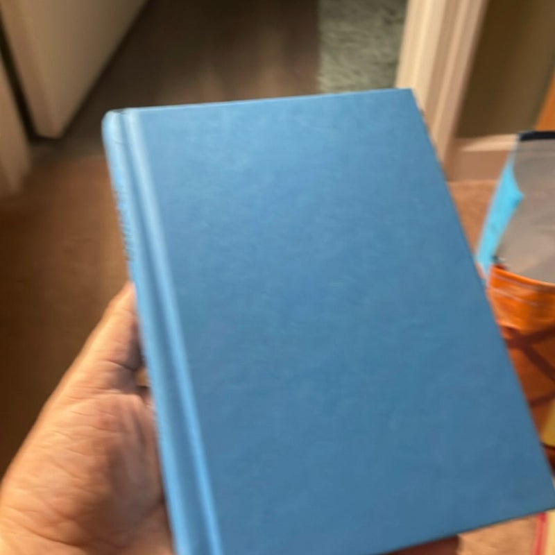 Home in Time for Christmas