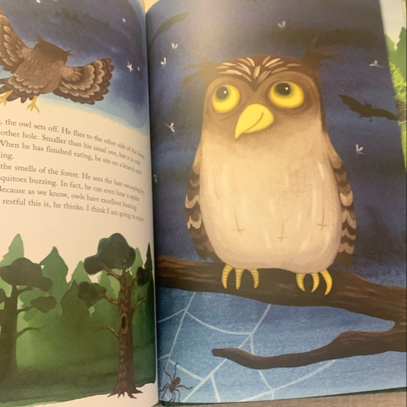 The Owl Goes On Holiday (IKEA book)