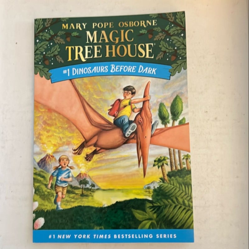 Magic Tree House Books 1-4 Boxed Set