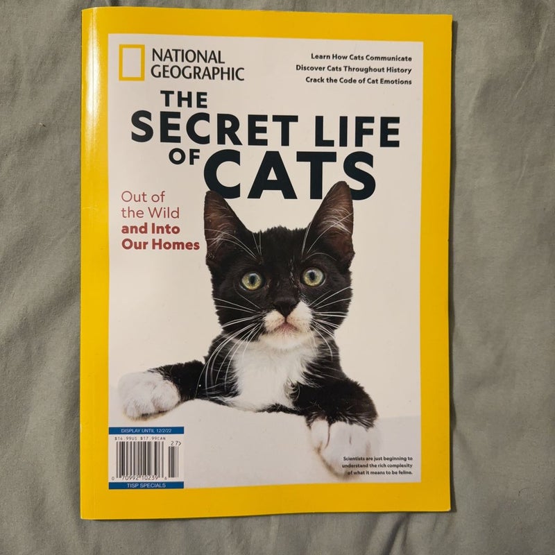 The Secret Life Of Cats 