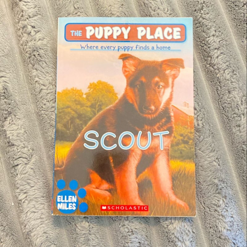 Scout