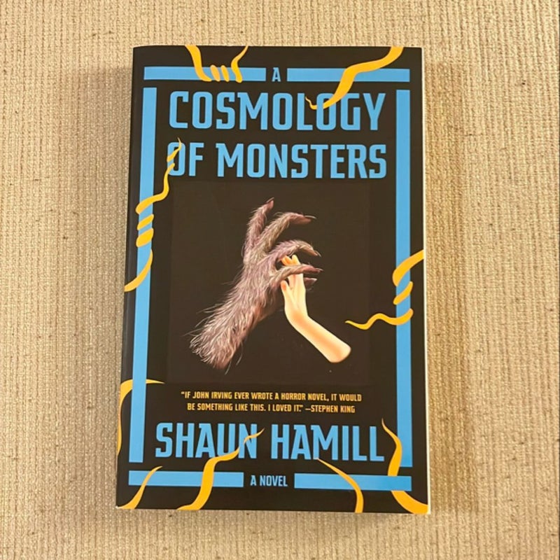 A Cosmology of Monsters