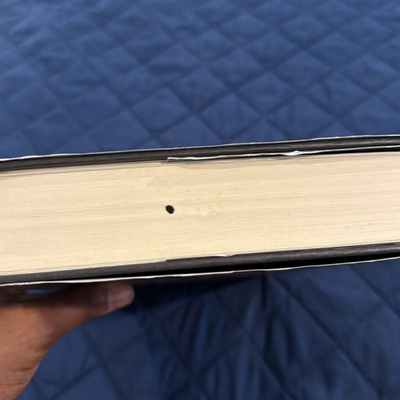 These Violent Delights