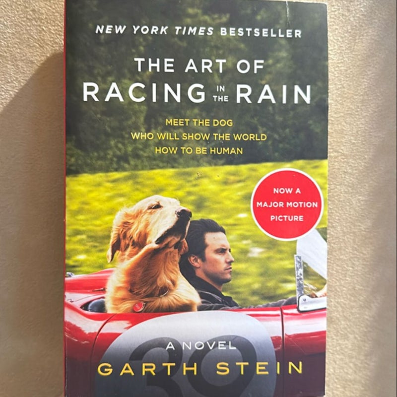 The Art of Racing in the Rain Tie-In