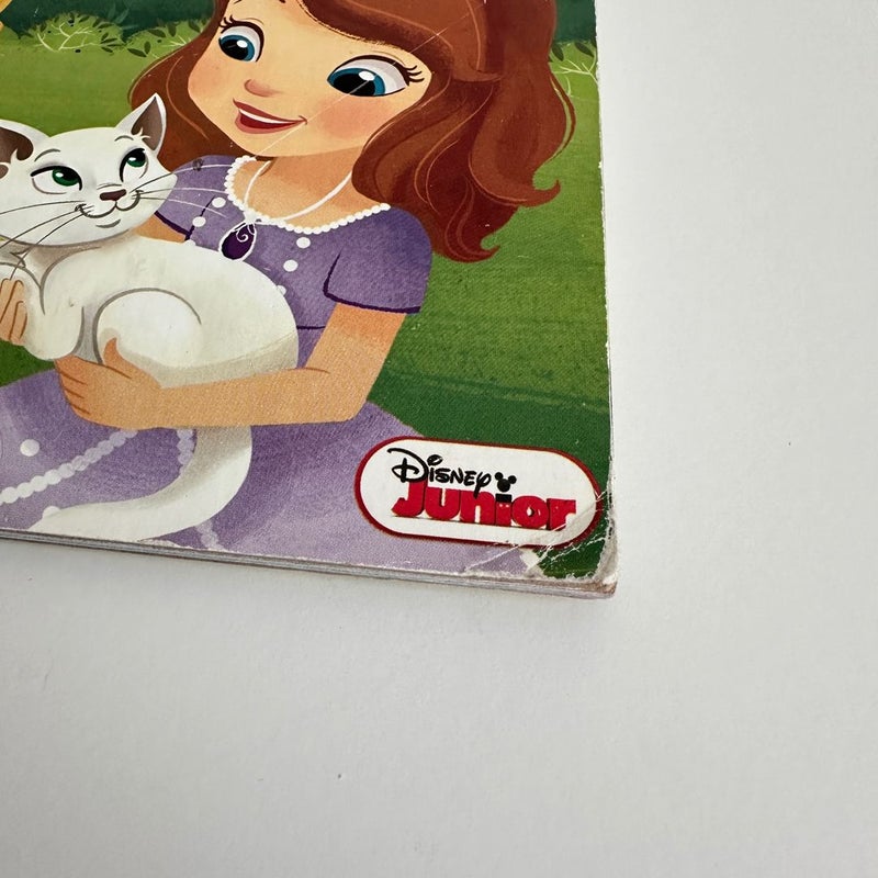 Sofia the First: When You Wish Upon a Well, Little Golden Book