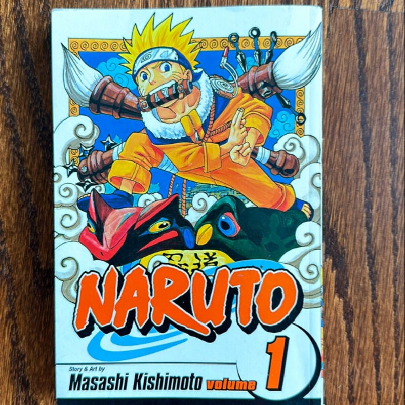 Naruto, Vol. 1