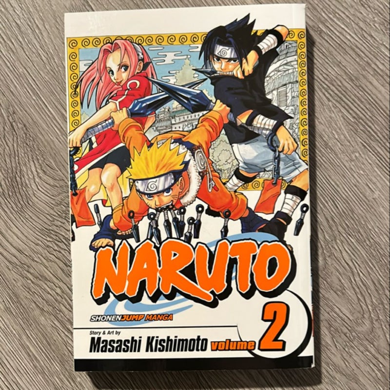 Naruto, Vol. 2