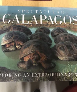 Spectacular Galapagos 