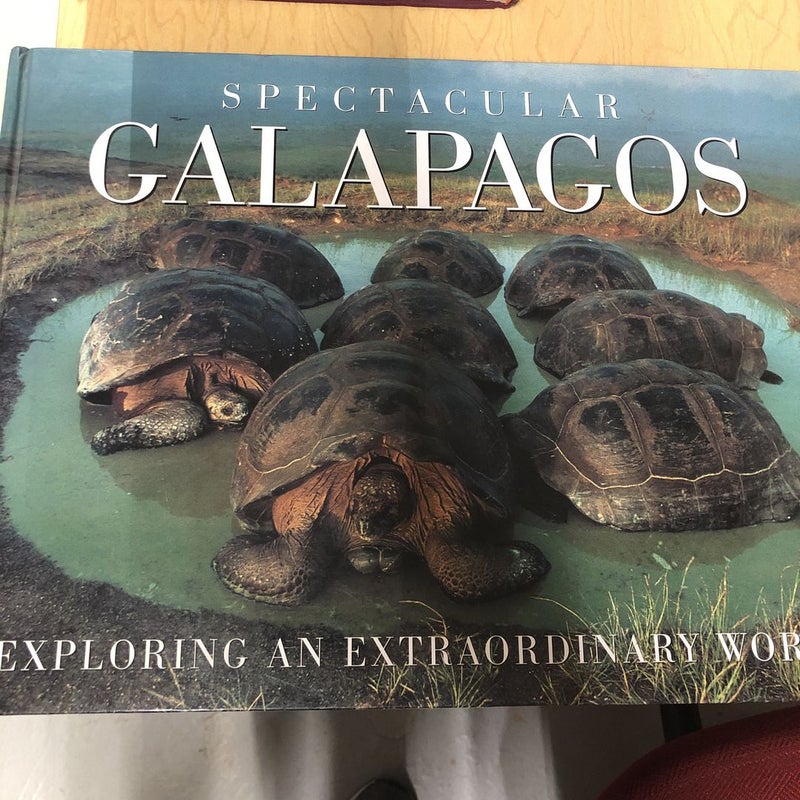 Spectacular Galapagos 