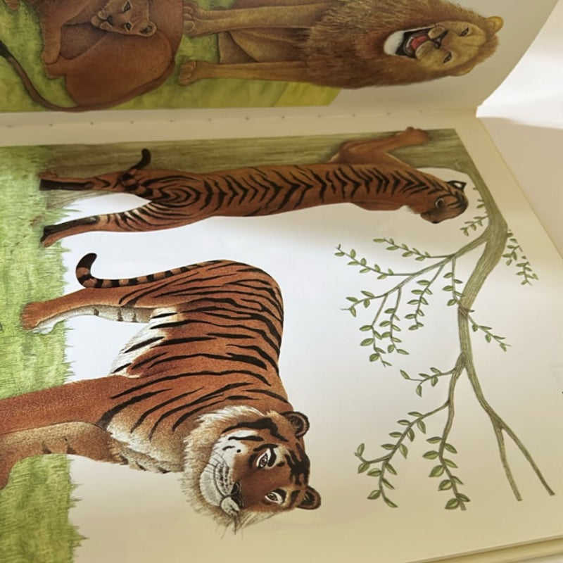 My big book of animals