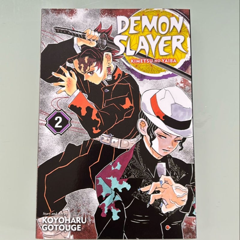 Demon Slayer: Kimetsu No Yaiba, Vol. 2