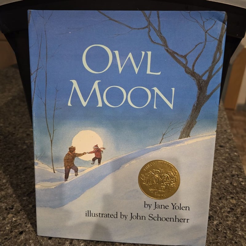 Owl Moon