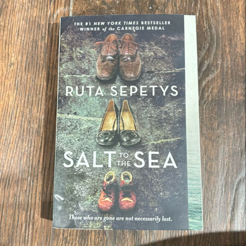 Salt to the Sea