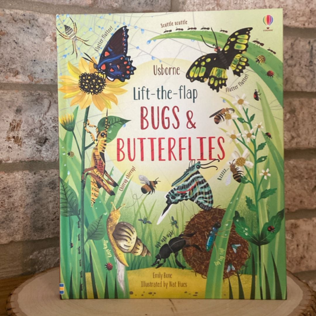 Lift-The-Flap Bugs and Butterflies IR