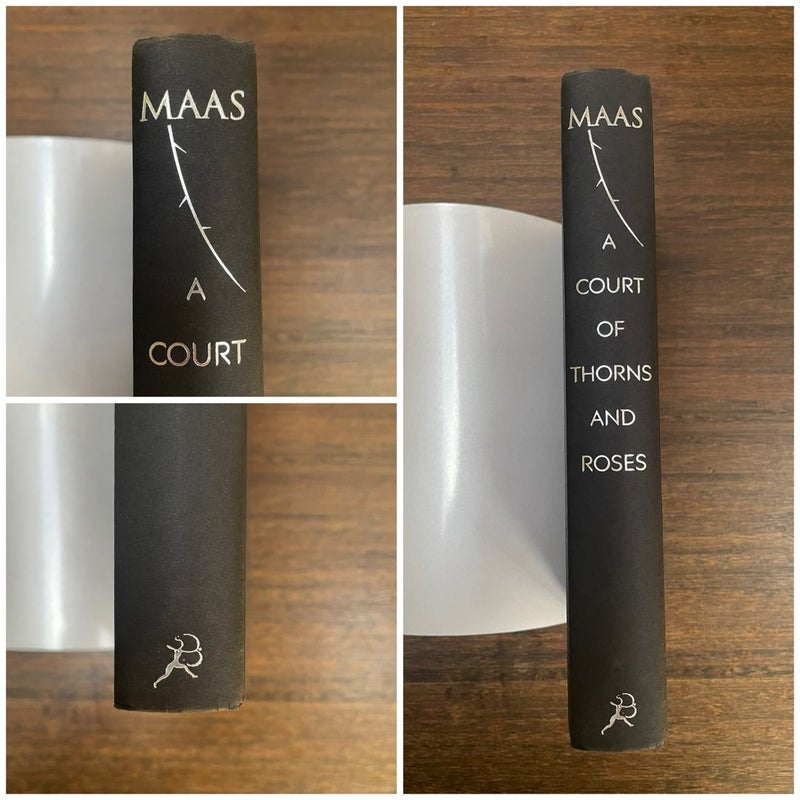 A Court of Thorns and Roses  (ACOTAR) by Sarah J Maas